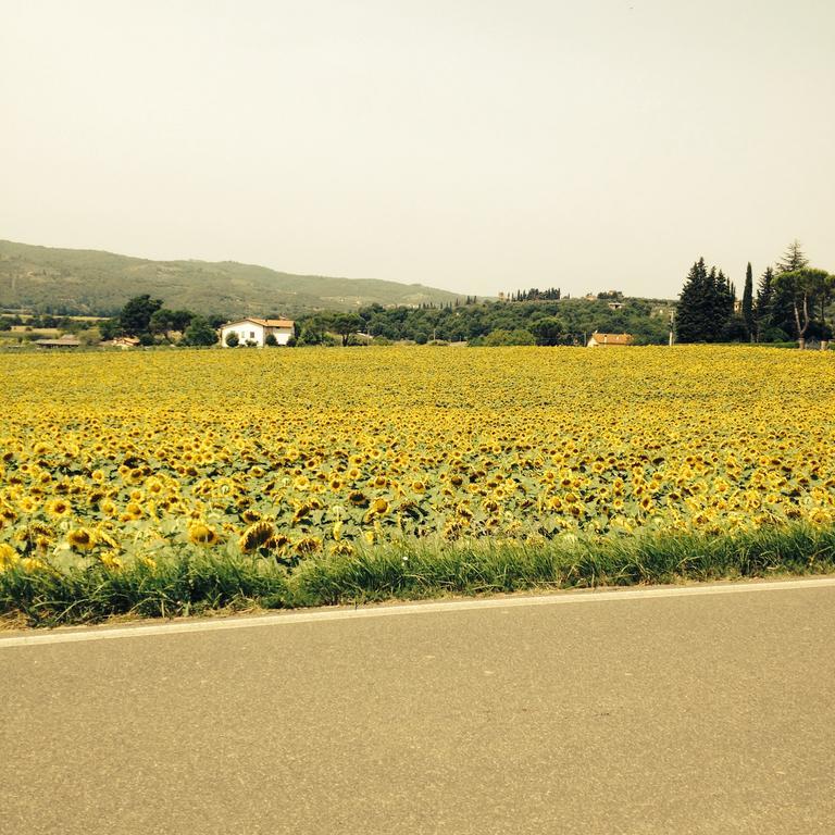 Tre Girasoli Monte San Savino Luaran gambar